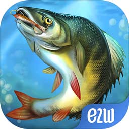 贝博体育app