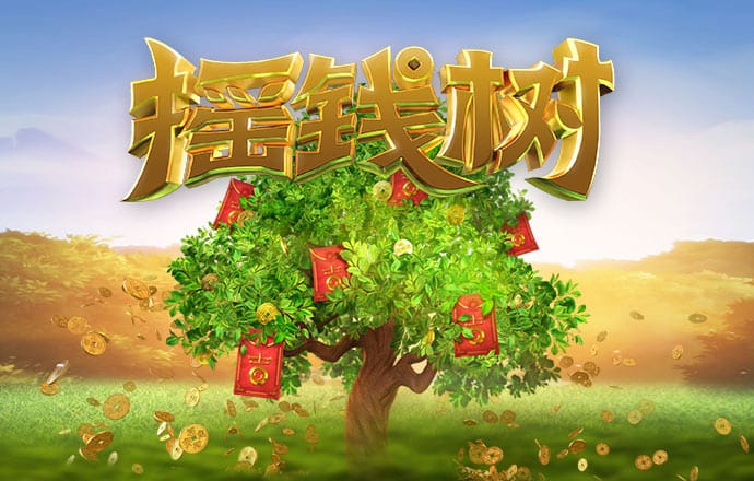 九博体育